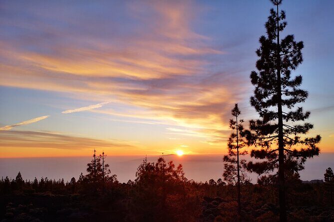 Sunset & Stargazing Experience from Teide - Price and Value