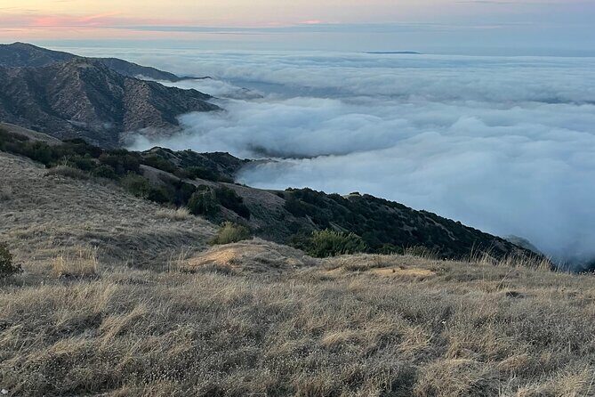 Sunset Summit Catalina Island Shared Tour - The Experience’s Fit for You