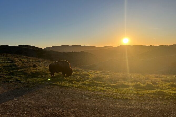 Sunset Summit Catalina Island Shared Tour - Final Thoughts