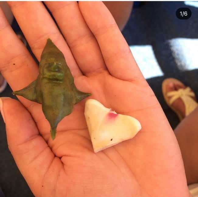 SUNSET/SUNRISE PRIVATE BOAT TOUR ON SKADAR LAKE (2H) - A Closer Look at the Tour Experience