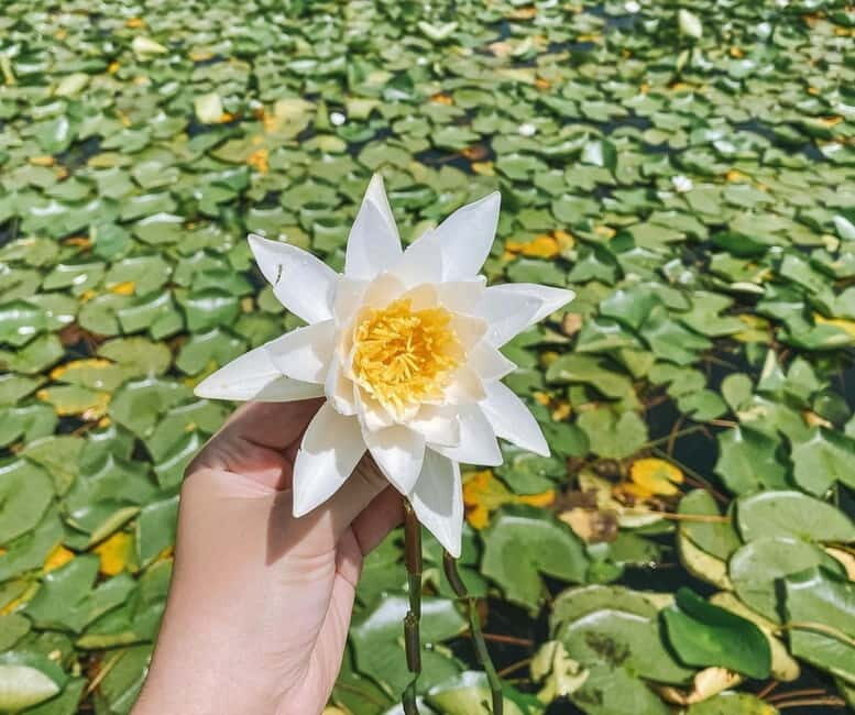 SUNSET/SUNRISE PRIVATE BOAT TOUR ON SKADAR LAKE (2H) - Practical Tips for Travelers