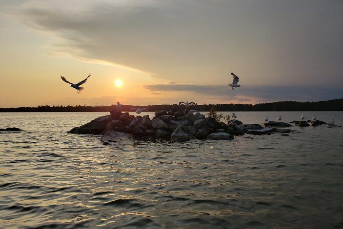 Sunset Tour by Kayak on Sebago Lake Maine - Final Thoughts: Is It Worth It?