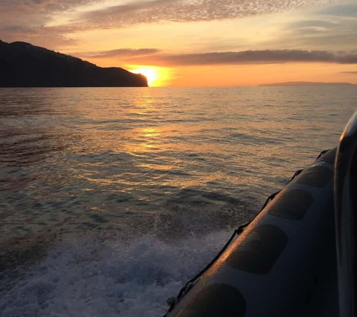 Sunset Trip + Dolphin & Whale Watching - Speed Boat - Frequently Asked Questions