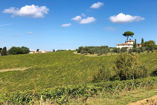 Sunset VIP Chianti wine tour - What Makes This Tour Stand Out?