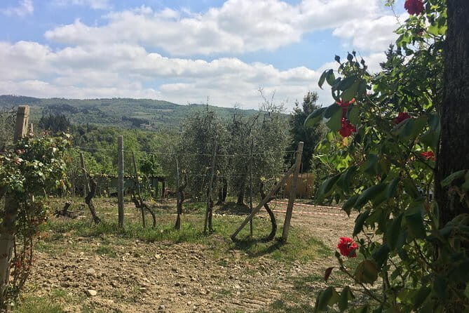 Sunset VIP Chianti wine tour - Final Thoughts: Is It Worth It?