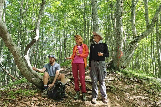 Sunset walking in NP Skadar lake from Podgorica - Key Points