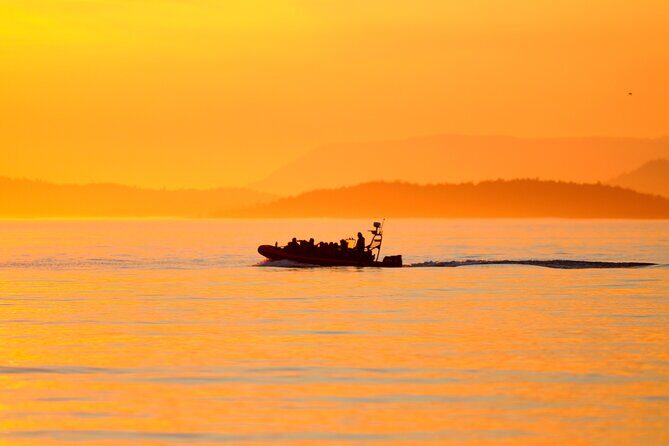Sunset Whale and Wildlife Adventure in Cowichan Bay - Final Thoughts