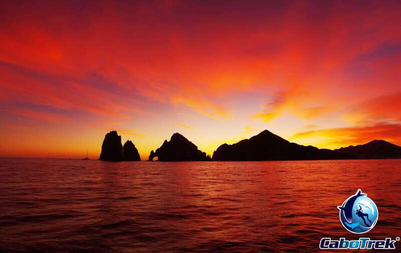 Sunset Whale Watching Cruise in Cabo San Lucas - Key Points