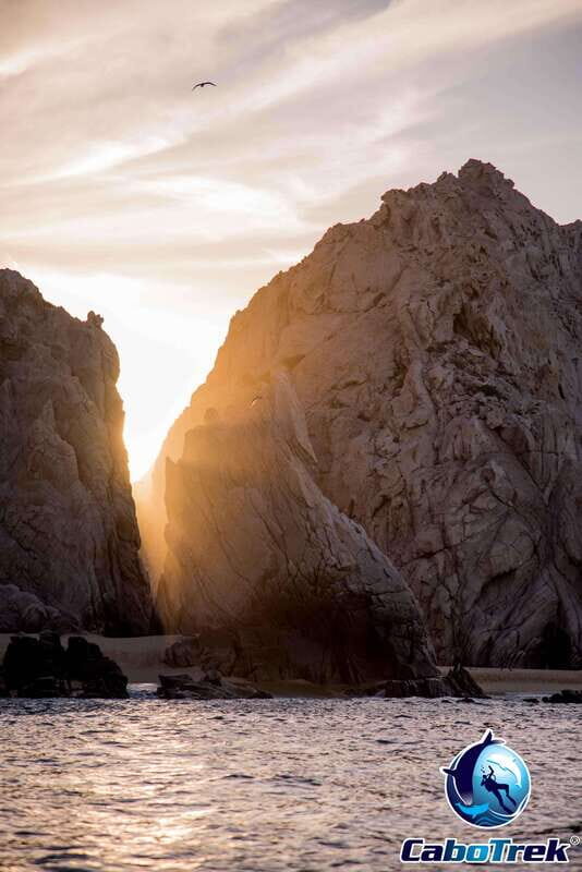 Sunset Whale Watching Cruise in Cabo San Lucas - Final Thoughts