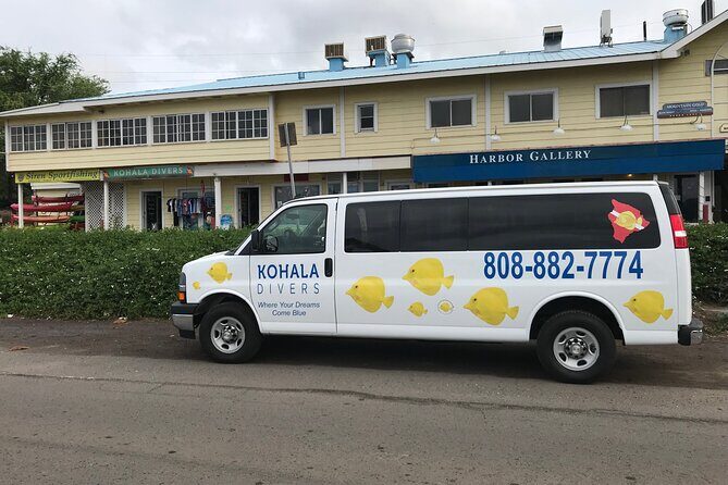 Sunset Whale Watching Shared Activity - Key Points