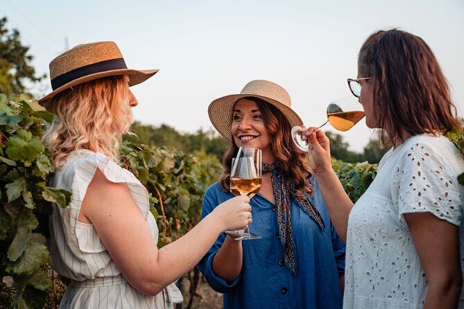 Sunset wine tasting in vineyard - Key Points