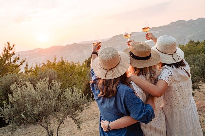 Sunset wine tasting in vineyard - The Tasting Experience