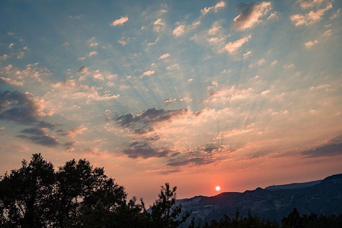 Sunset wine tasting in vineyard - The Sunset and Scenic Views