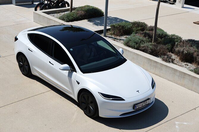 SUNSET WINE TOUR by KAYAK or SUP - The Experience: What to Expect on the Sunset Tour