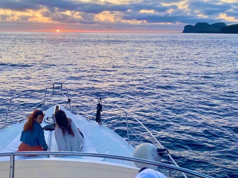 Sunset yacht tour with food and wine tasting. - Why this tour is a great choice