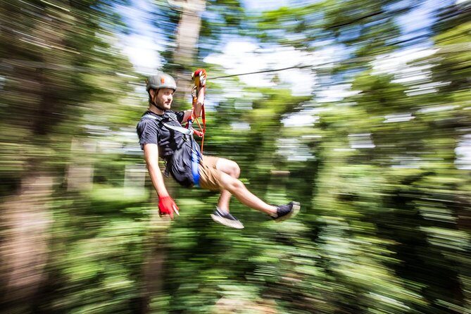 Sunshine Coast Adventure Park TreeTop Challenge - An Overview of the Experience