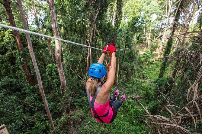 Sunshine Coast Adventure Park TreeTop Challenge - The Practicalities