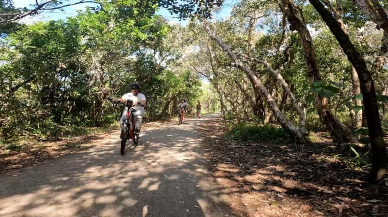 Sunshine Coast: Easy Peasy Novotel North E-Bike Tour - What Makes This Tour Stand Out?