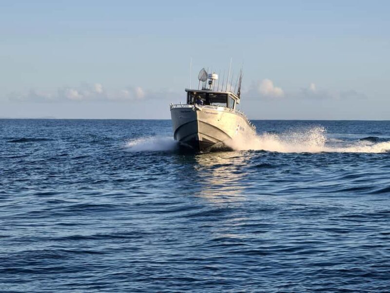 Sunshine Coast: Fishing Charters - An In-Depth Look at the Sunshine Coast Fishing Charter