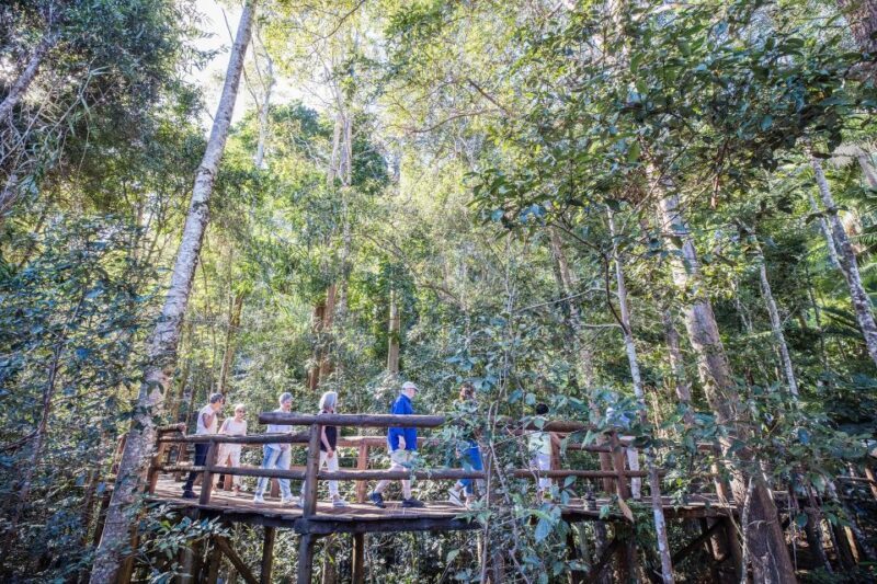 Sunshine Coast & Noosa Hinterland Scenic Culinary Experience - Who Will Love This Tour?