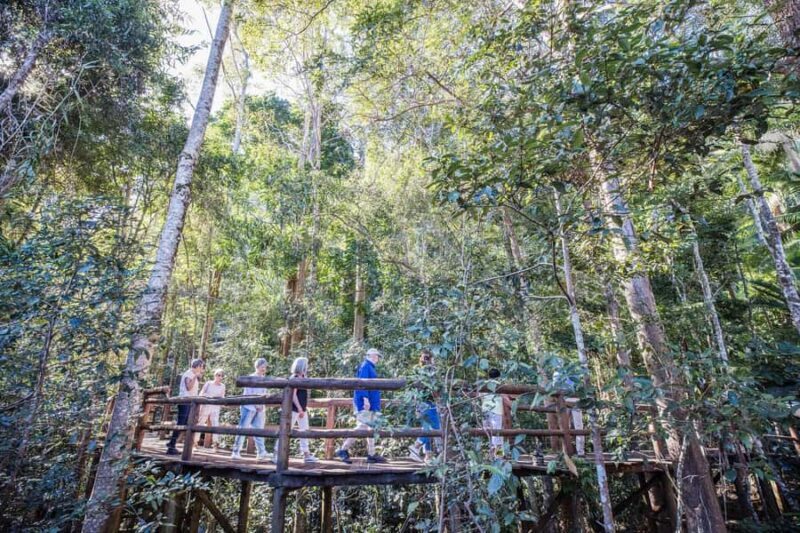 Sunshine Coast & Noosa Hinterland Scenic Culinary Experience - Final Word