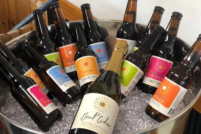 Sunshine Coast & Noosa Private Wine Tour Inc. Lunch & Tastings - Exploring Montville and Local Artistry