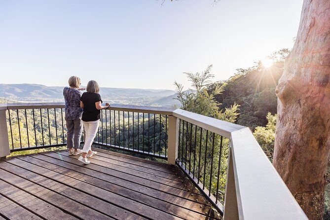 Sunshine Coast & Noosa Private Wine Tour Inc. Lunch & Tastings - The Sum Up