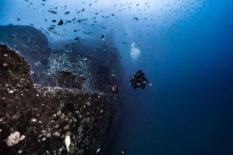 Sunshine Coast: Scuba Dive the Ex-HMAS Brisbane Ship Wreck - Key Points