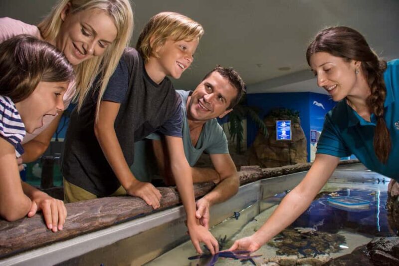 Sunshine Coast: SEA LIFE Sunshine Coast Entry Ticket - An Inside Look at SEA LIFE Sunshine Coast Aquarium