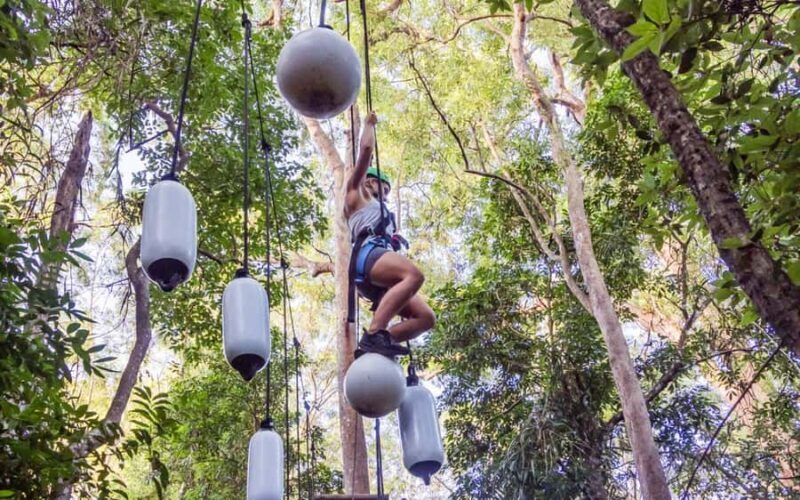 Sunshine Coast: Treetop Challenge Adventure Park - An In-Depth Look at the Treetop Challenge Adventure Park