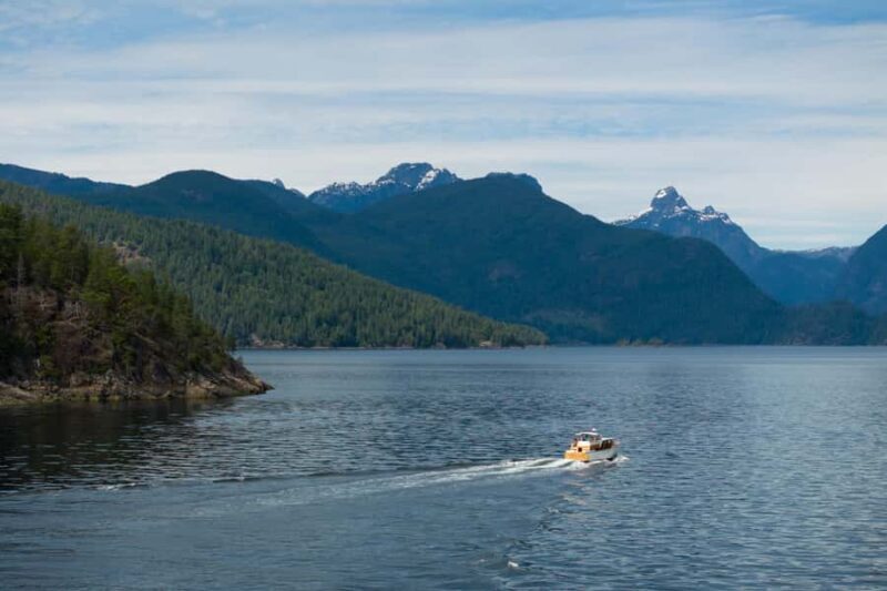 Sunshine Coast: Vintage Boat Tour with Wildlife Viewing - Key Points