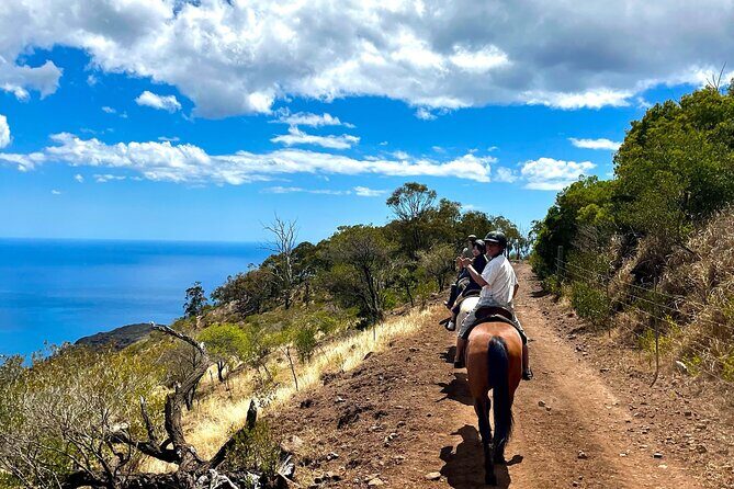 Sunshine Mountain Vista Horseback Trail Ride on Oahu - FAQs