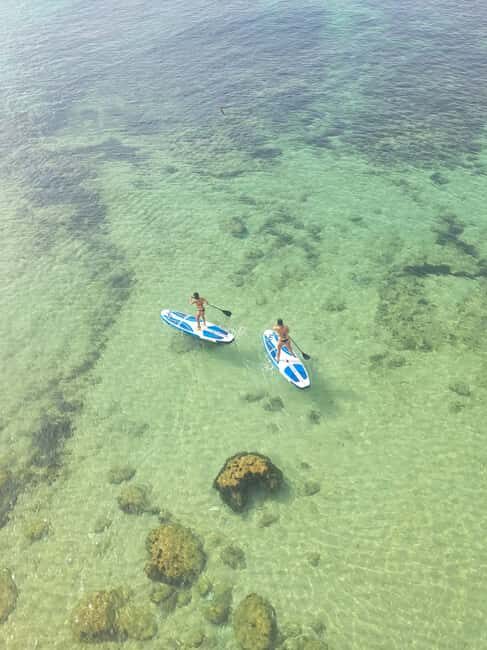 Sup introduction a local guide - Discovering Hidden Spots and Marine Life