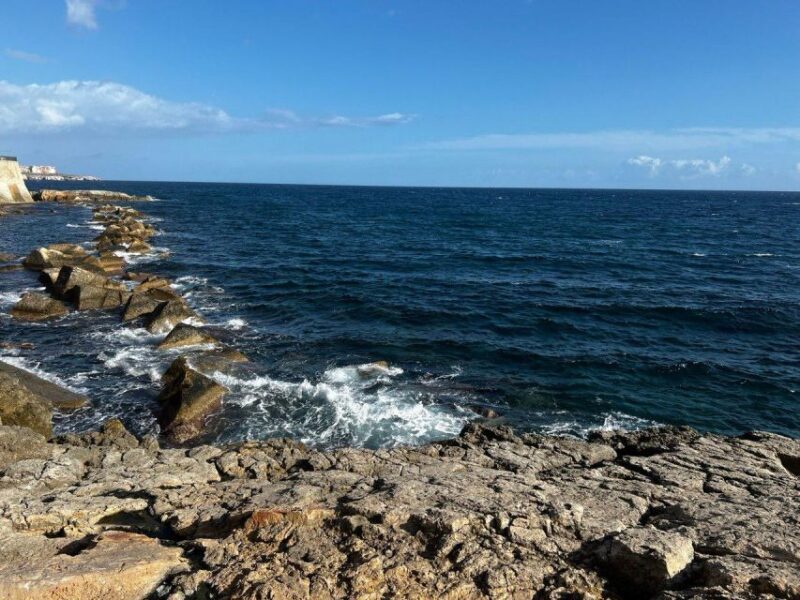 SUP rental - Ortigia - What the Reviews Say