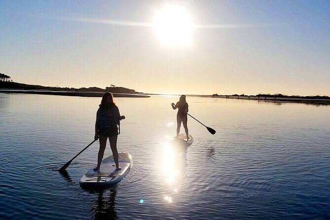 SUP (stand-up paddboard) Salt Marsh Maze Tour - Practical Tips for Your Paddleboard Adventure