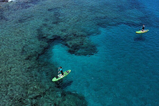 SUP Standup Paddling and Snorkeling Shared Experience - Lanzarote SUP Standup Paddling and Snorkeling Experience: An In-Depth Review