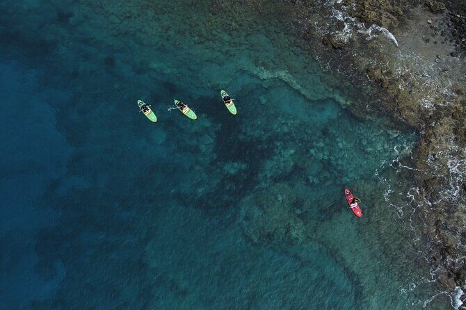 SUP Standup Paddling and Snorkeling Shared Experience - FAQ