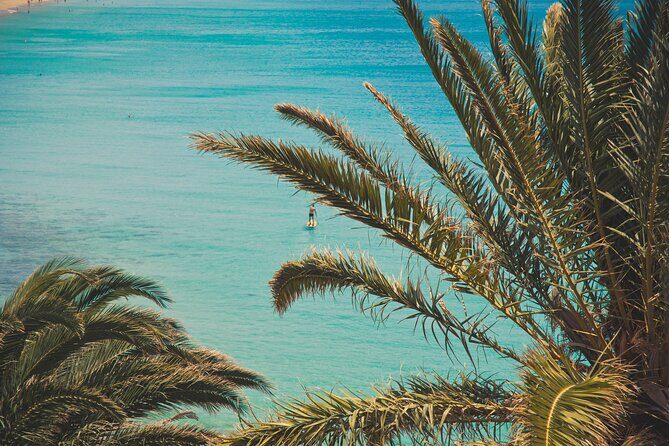 SUP taster course in the picturesque bay of Morro Jable - The Dive Into Morro Jable’s SUP Experience