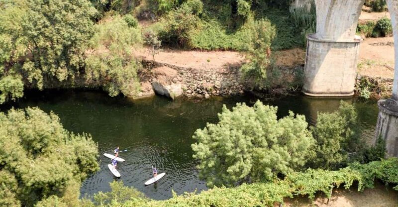 SUP TOUR - Explore Porto´s surroundings on a SUP Board - Exploring Porto from the Water: An In-Depth Look at the SUP Tour