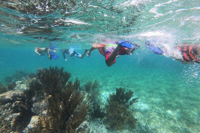 Super Combo ATV in Cancun with Zipline, Snorkel, Cenote, transfer - What the Reviews Say