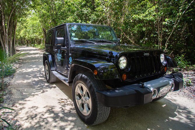 Super Cozumel Combo Snorkel by Boat and Jeep Exploration (Private) - Who Will Love This Tour?