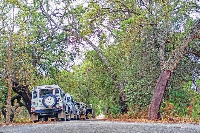 Super Day- Jeep Tour + Arade River Cruise - What Sets This Tour Apart?