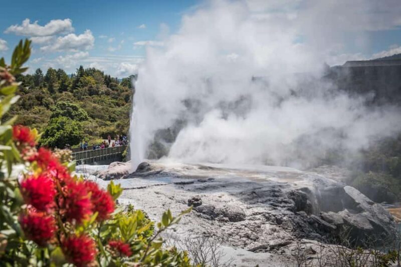 SUPER DEAL: Ruakuri Caves, Te Puia Rotorua & Blue Springs - Final Words