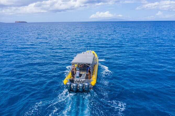 Super Raft - Private Charter Maui 3 Hour Snorkel to Coral Gardens or Molokini - Why This Tour Is So Well-Reviewed