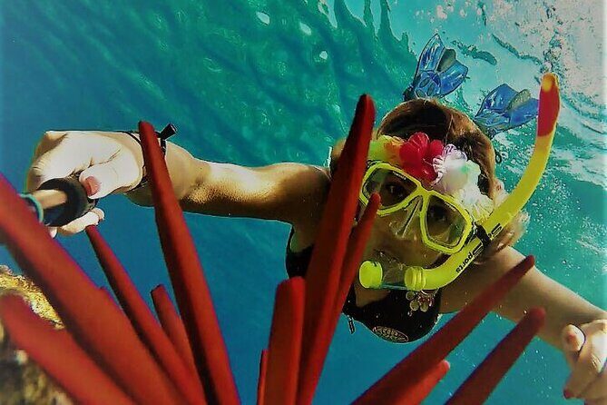 Super Raft - Private Charter Maui 3 Hour Snorkel to Coral Gardens or Molokini - FAQ