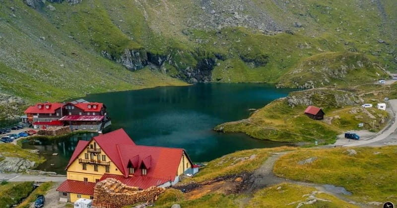 SUPER TOUR: Top Gear Road with Wild Bears Sightseeing - Key Points