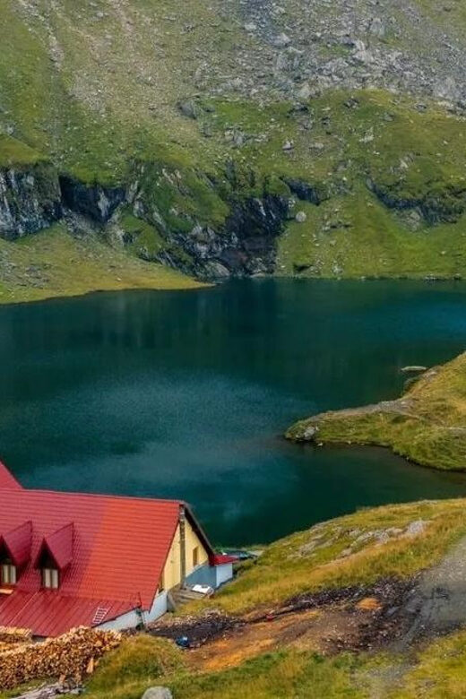 SUPER TOUR: Top Gear Road with Wild Bears Sightseeing - Wildlife and Surprises Along the Route