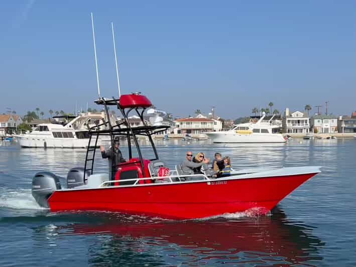 Superior 2hr Private Whale & Dolphin Watching Newport Beach - Practical Tips for an Enjoyable Trip