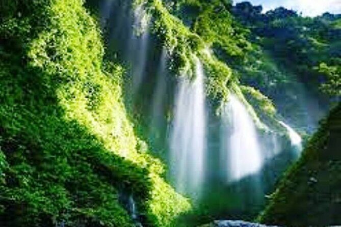 Surabaya-Bromo-Ijen blue fire-Bali, All Entrance Included, 2N3D - Discovering Java: An In-Depth Look at the Tour