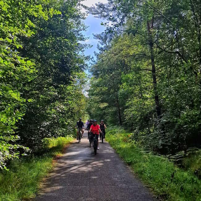 Surbourg: Electric bike rental by the day - Key Points